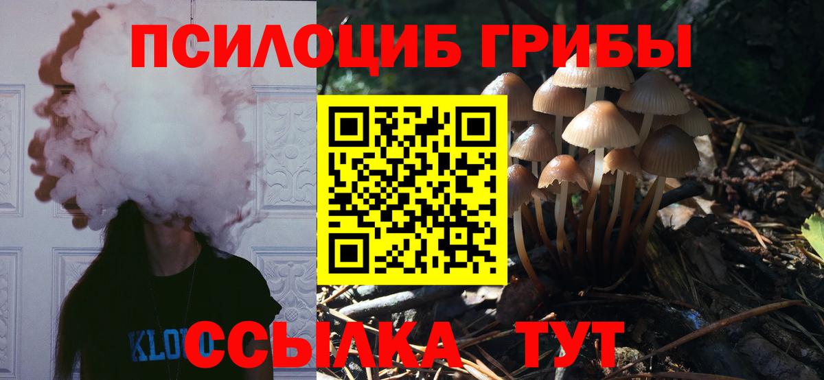 Псилоцибиновые грибы мухоморы Уфа